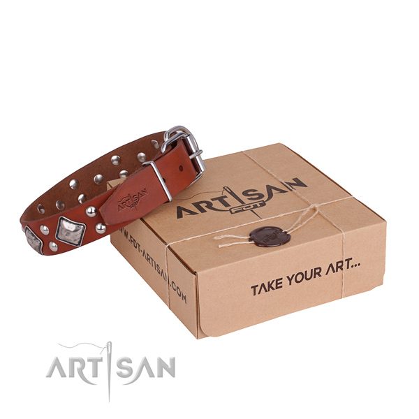 Everyday use dog collar with Exquisite durable embellishments