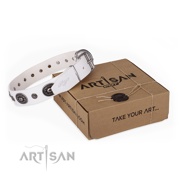 High quality full grain genuine leather dog collar crafted for walking