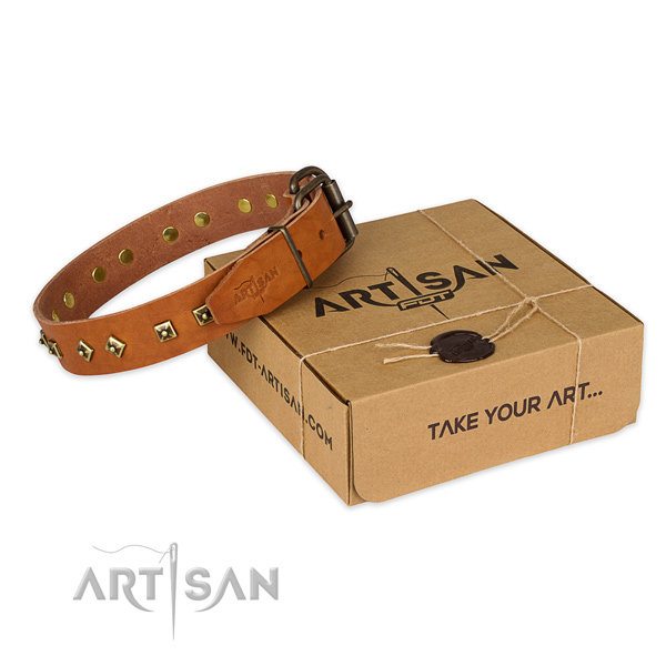 Strong D-ring on full grain natural leather dog collar for handy use