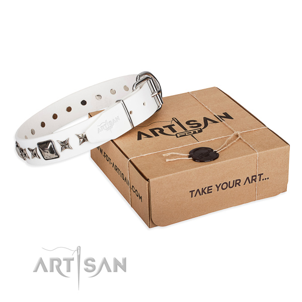 Fancy walking full grain leather dog collar with embellishments