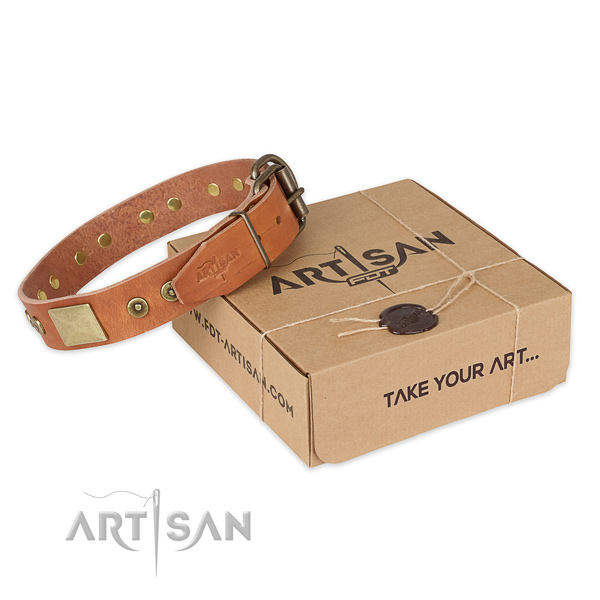 Durable fittings on natural genuine leather dog collar for basic training