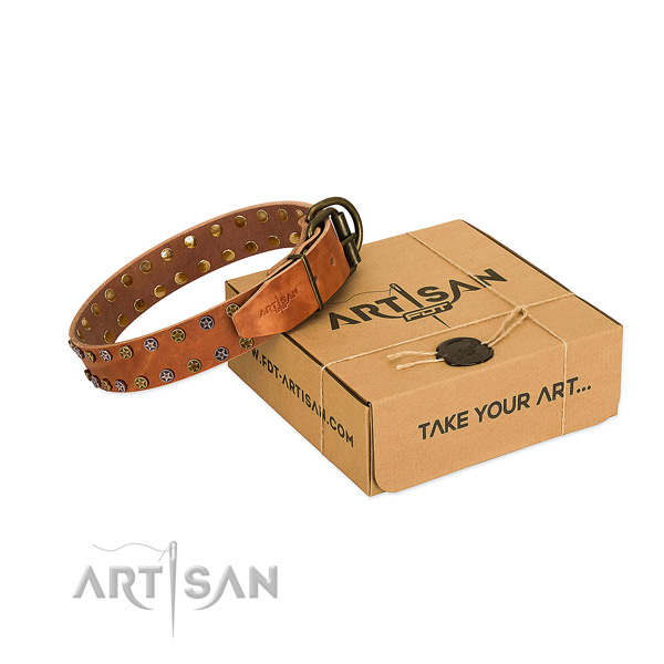 Everyday walking top rate full grain genuine leather dog collar with decorations