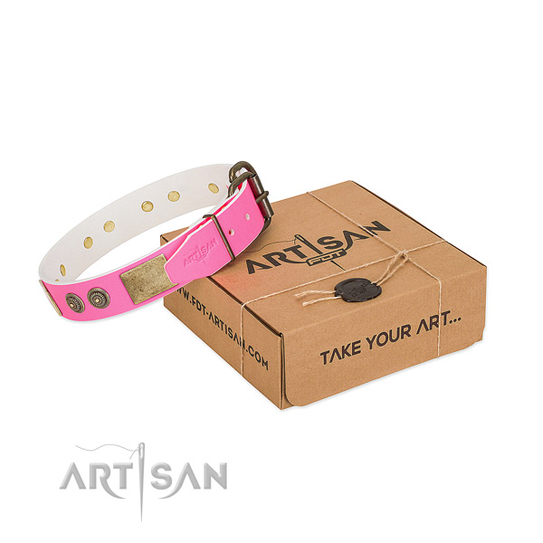 Rust resistant buckle on full grain leather dog collar for walking