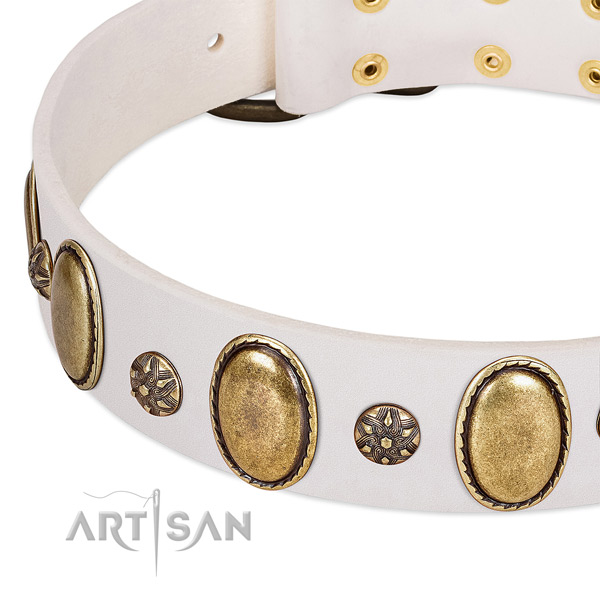 Handy use top rate leather dog collar with embellishments
