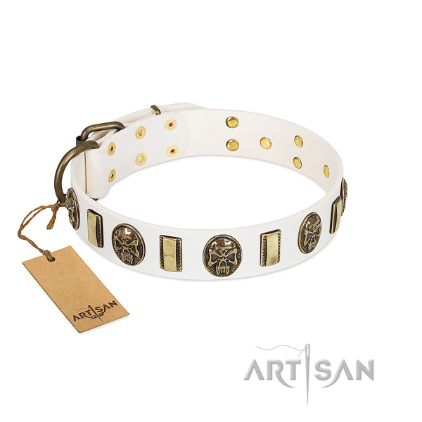 Comfortable full grain genuine leather dog collar for daily walking