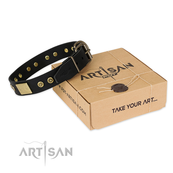 Rust resistant hardware on leather dog collar for daily use