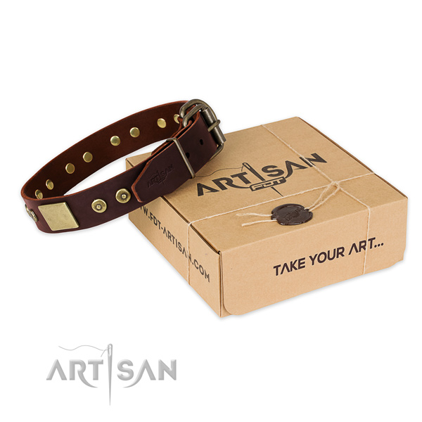 Durable decorations on dog collar for everyday use