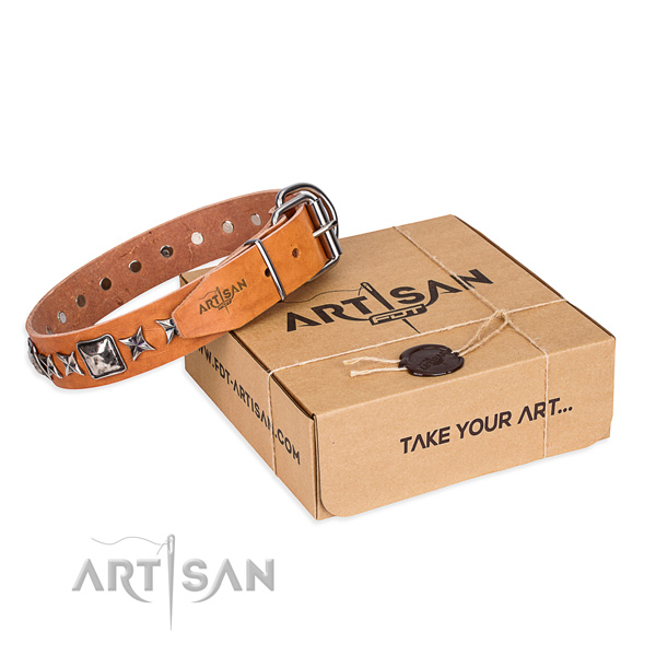 Walking full grain genuine leather dog collar with decorations