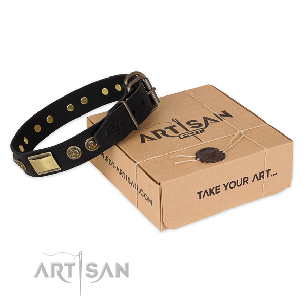 Corrosion proof hardware on leather dog collar for daily walking