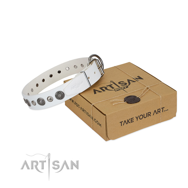 Full grain natural leather collar with corrosion proof fittings for your lovely doggie