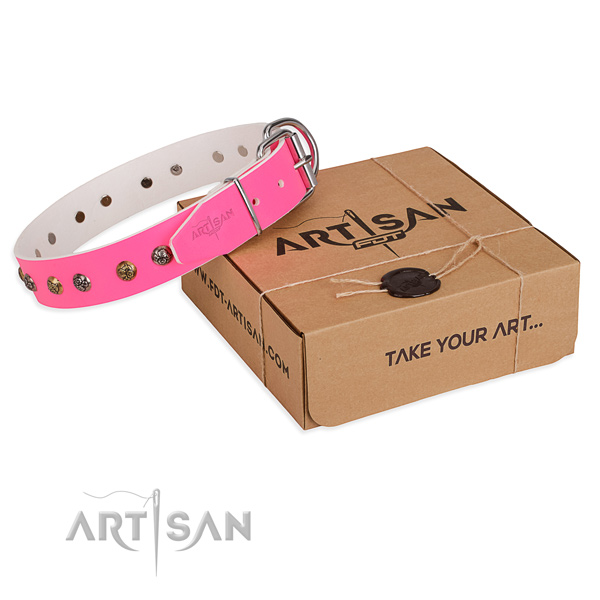 Daily use dog collar with Inimitable corrosion resistant adornments