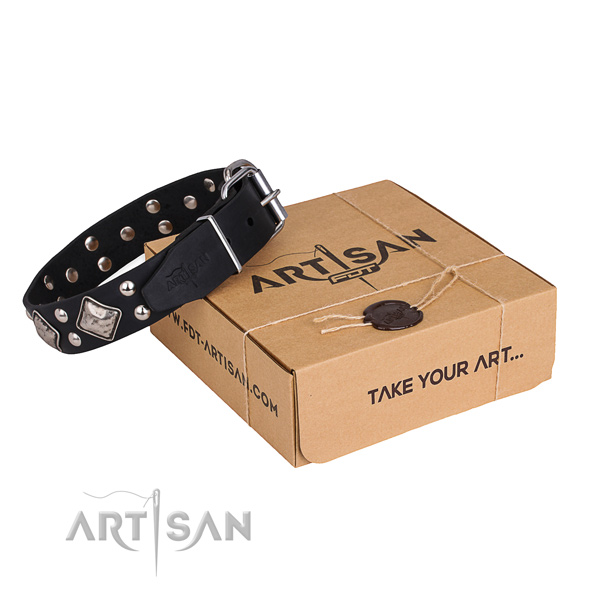Daily use dog collar with Inimitable corrosion resistant adornments