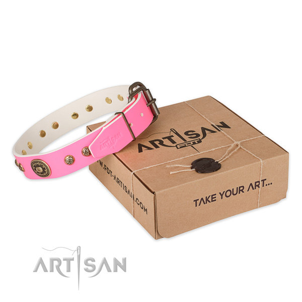Corrosion proof fittings on leather dog collar for basic training