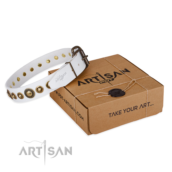 Flexible leather dog collar made for daily use