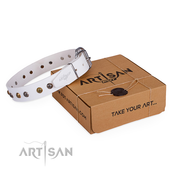 Comfy wearing dog collar with Extraordinary rust-proof embellishments