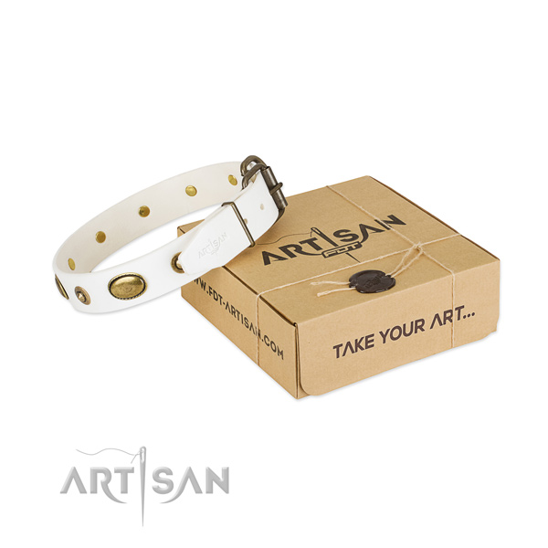 Exquisite genuine leather collar for your beautiful canine