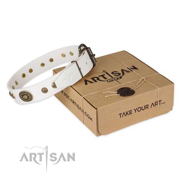 Corrosion resistant fittings on full grain natural leather dog collar for fancy walking