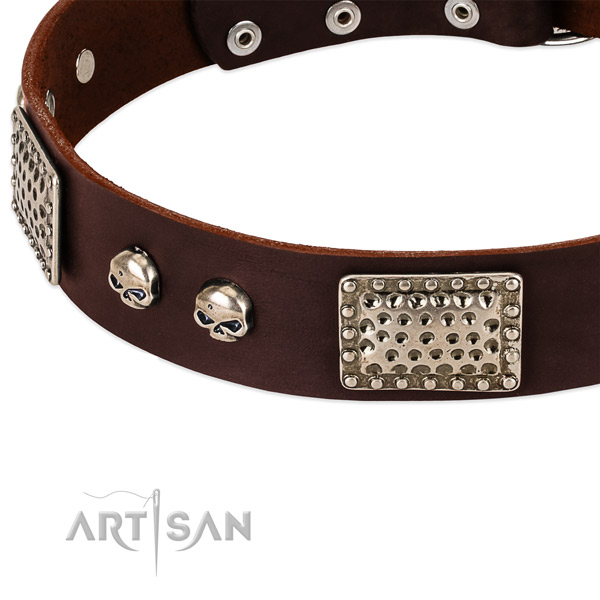 Corrosion proof fittings on full grain leather dog collar for your dog