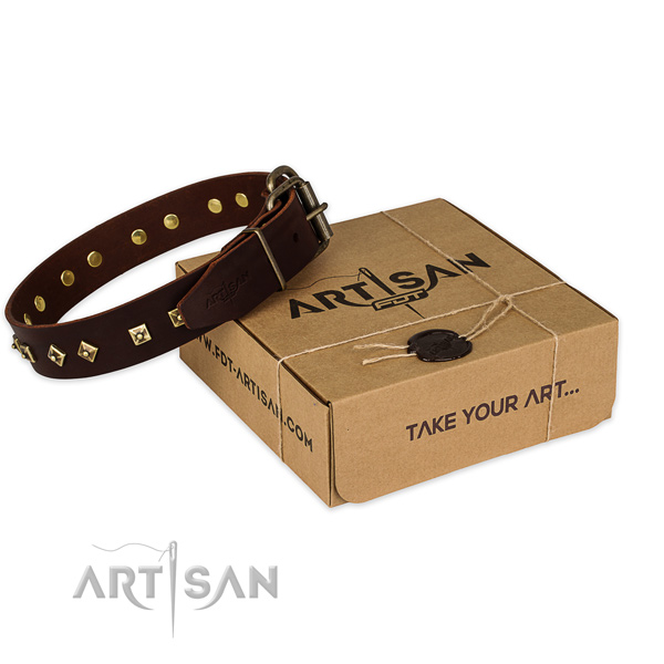 Durable hardware on full grain leather dog collar for walking