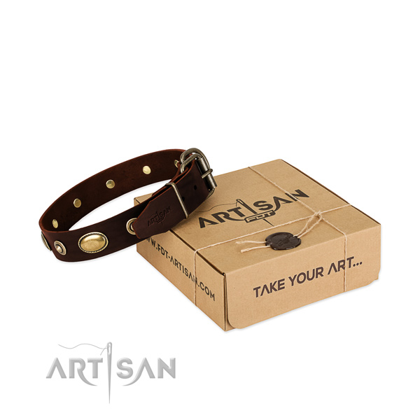 Durable traditional buckle on leather dog collar for your four-legged friend