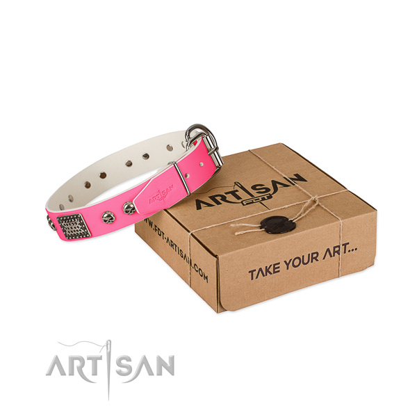 Corrosion proof buckle on dog collar for handy use