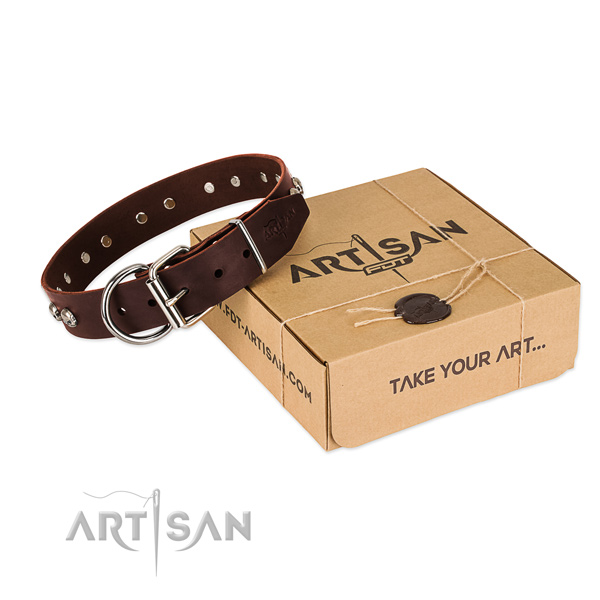 Corrosion resistant embellishments on dog collar for comfy wearing