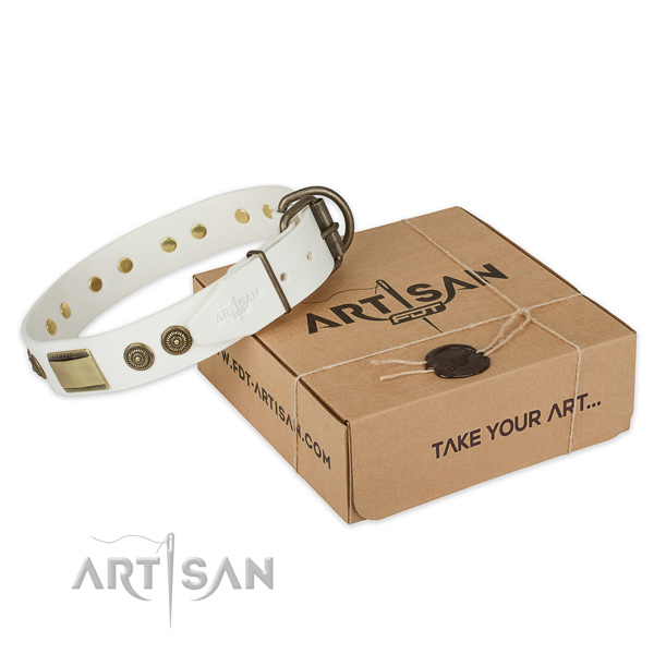 Strong buckle on natural genuine leather dog collar for walking
