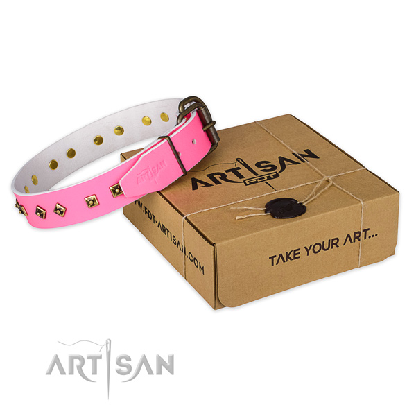 Corrosion resistant buckle on genuine leather dog collar for everyday use