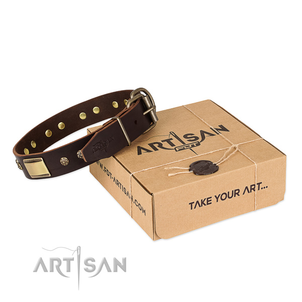 Incredible full grain genuine leather collar for your handsome pet