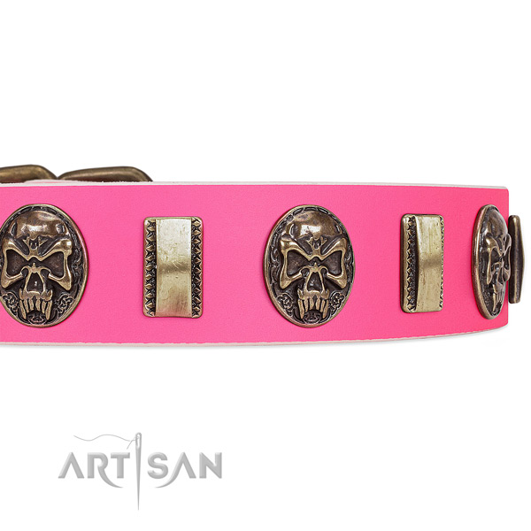 Corrosion proof buckle on genuine leather dog collar for your four-legged friend