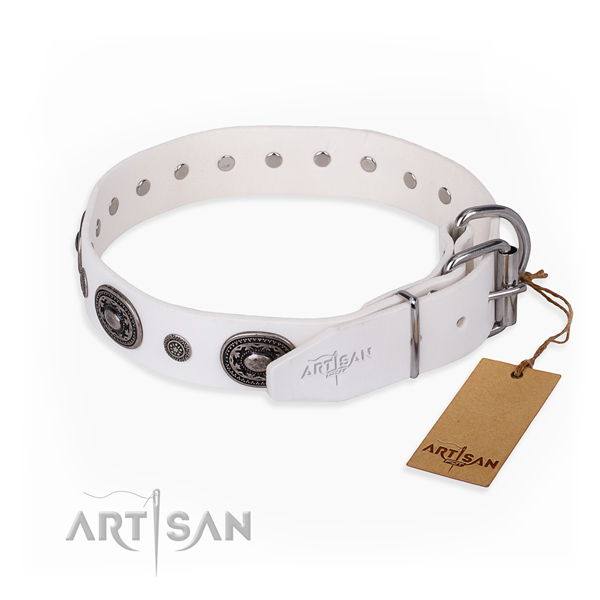 Gentle to touch genuine leather dog collar crafted for daily walking