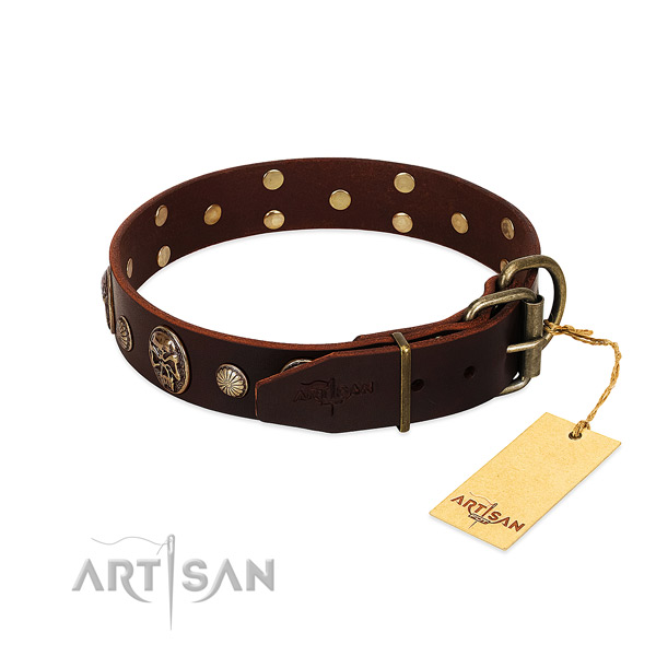 Strong fittings on basic training dog collar