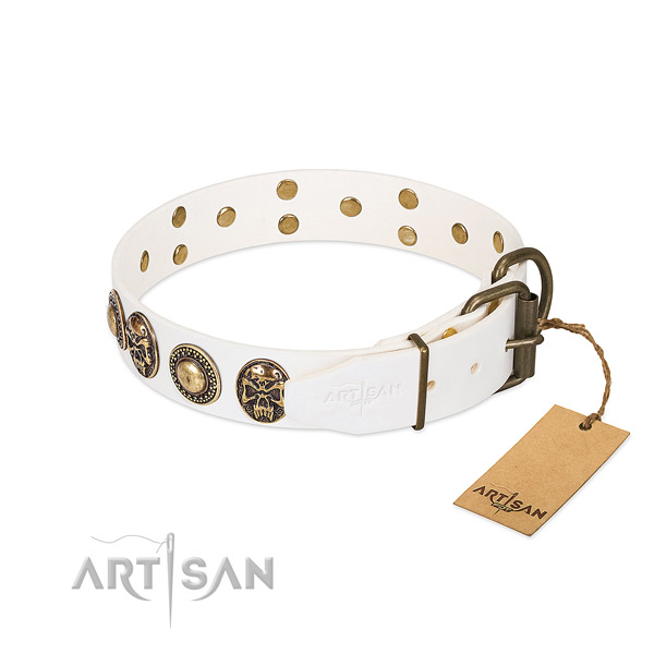 Durable studs on daily walking dog collar
