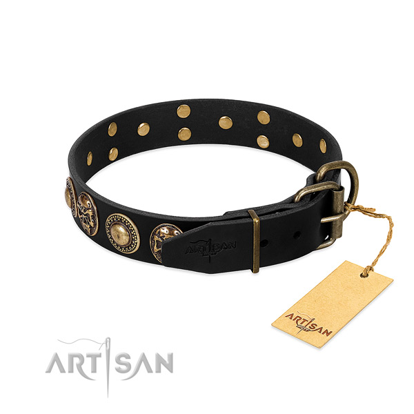 Corrosion resistant traditional buckle on everyday use dog collar
