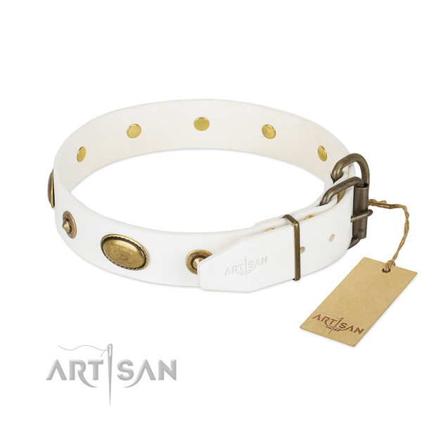 Reliable decorations on genuine leather dog collar for your pet