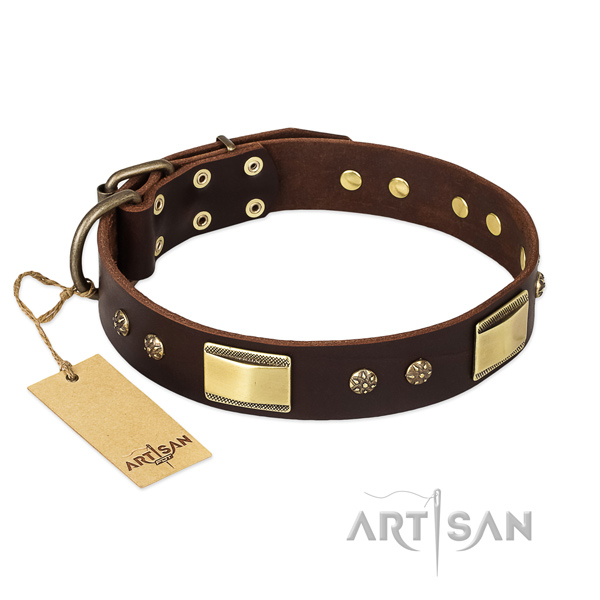 Genuine leather dog collar with reliable D-ring and adornments