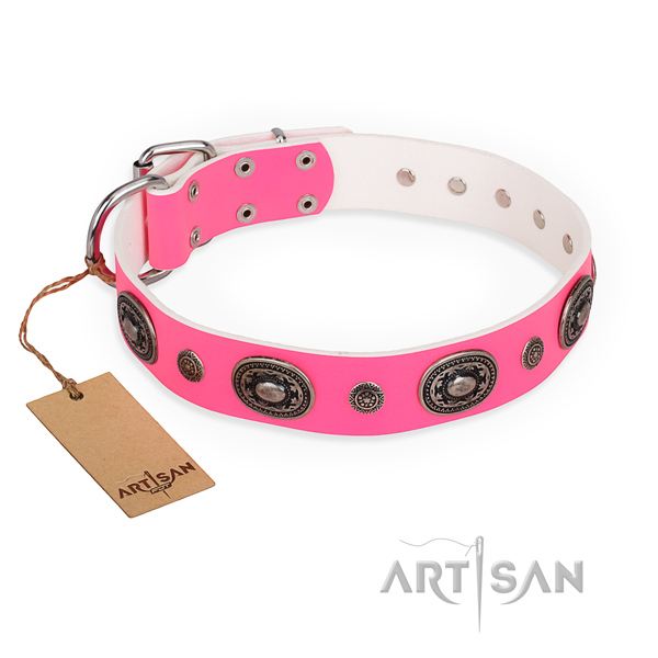 Durable genuine leather dog collar made for daily use