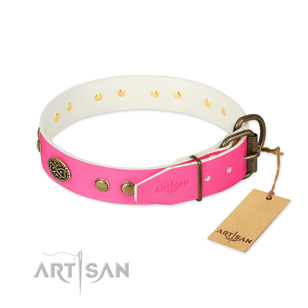 Corrosion proof adornments on full grain leather dog collar for your pet