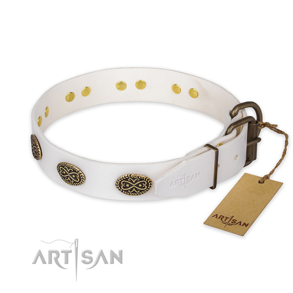 Strong buckle on genuine leather collar for daily walking your pet