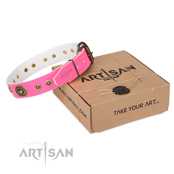 Genuine leather dog collar made of quality material with rust-proof buckle
