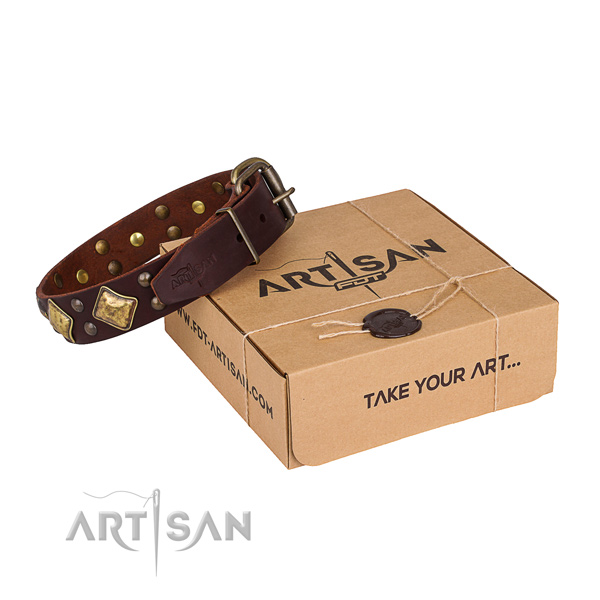 Walking dog collar with Awesome durable decorations