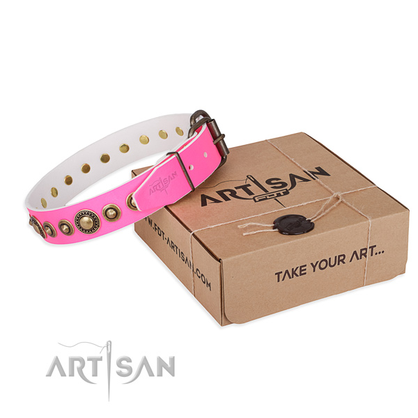 Top notch full grain leather dog collar crafted for basic training