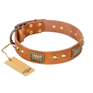"Saucy Nature" FDT Artisan Tan Leather Boxer Collar with Old Bronze Look Plates and Skulls