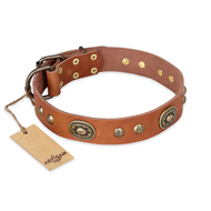 "Stunning Dress" FDT Artisan Tan Leather Boxer Collar with Old Bronze Look Plates and Studs