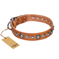 "Daily Chic" FDT Artisan Tan Leather Boxer Collar with Decorations