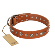 "Gorgeous Roundie" FDT Artisan Tan Leather Boxer Collar with Chrome-plated Circles