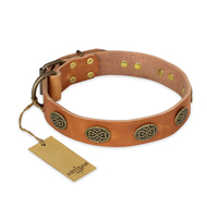 "Magic Amulet" FDT Artisan Tan Leather Boxer Collar with Oval Studs