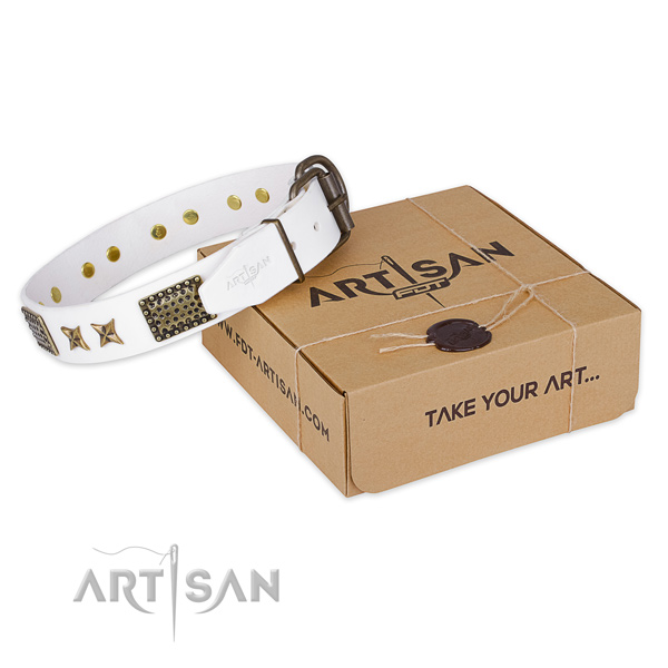 Durable buckle on full grain leather collar for your lovely pet