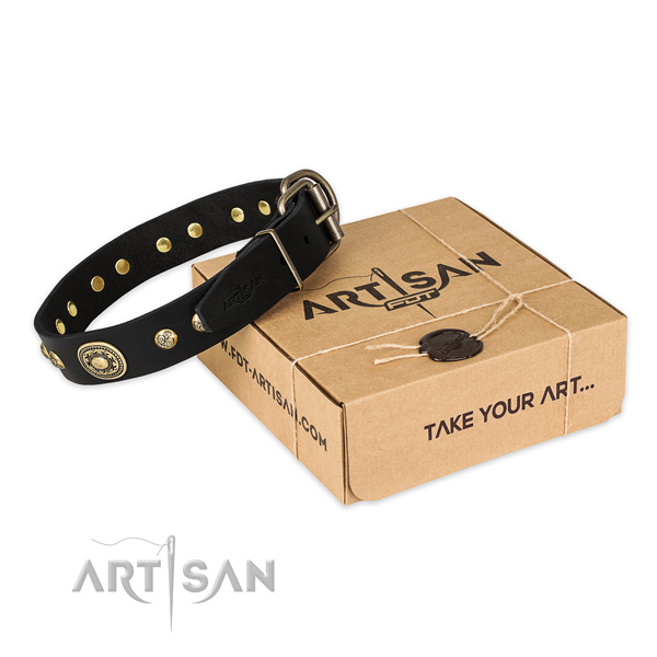 Corrosion resistant fittings on genuine leather dog collar for daily walking