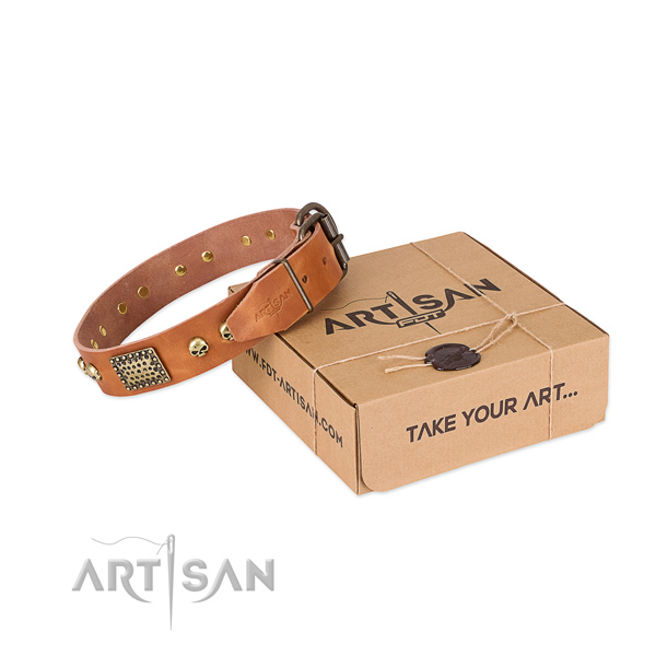 Corrosion resistant traditional buckle on dog collar for daily walking